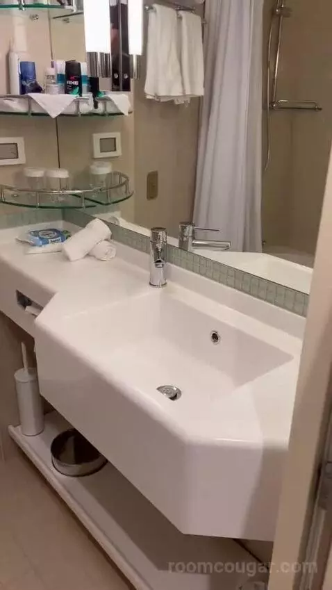 Suite (B519) bathroom picture #7
