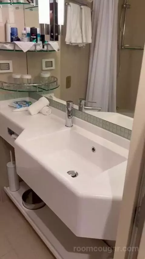 Suite (B519) bathroom picture #8