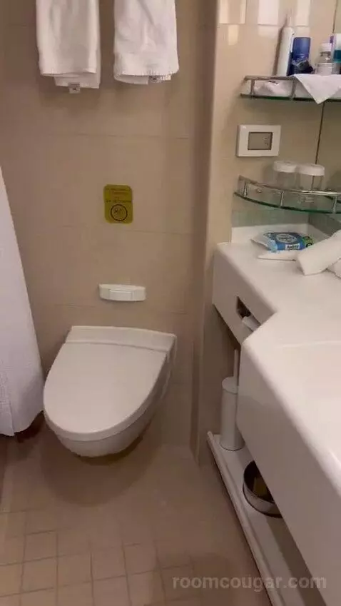 Suite (B519) bathroom picture #11