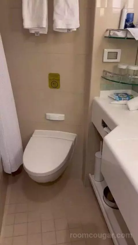Suite (B519) bathroom picture #12