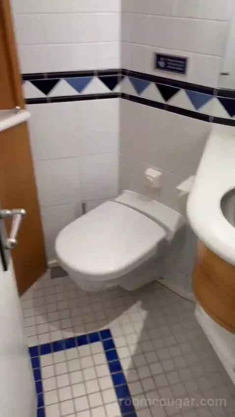 Balcony Cabin bathroom picture #12
