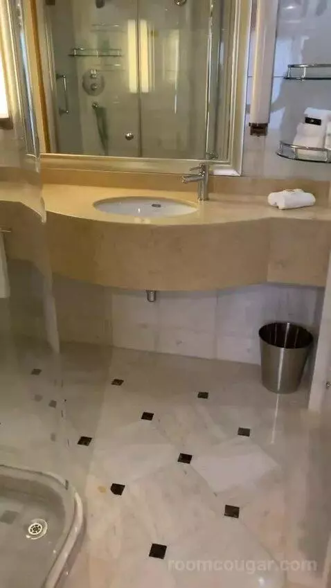 Suite (R611) bathroom picture #1