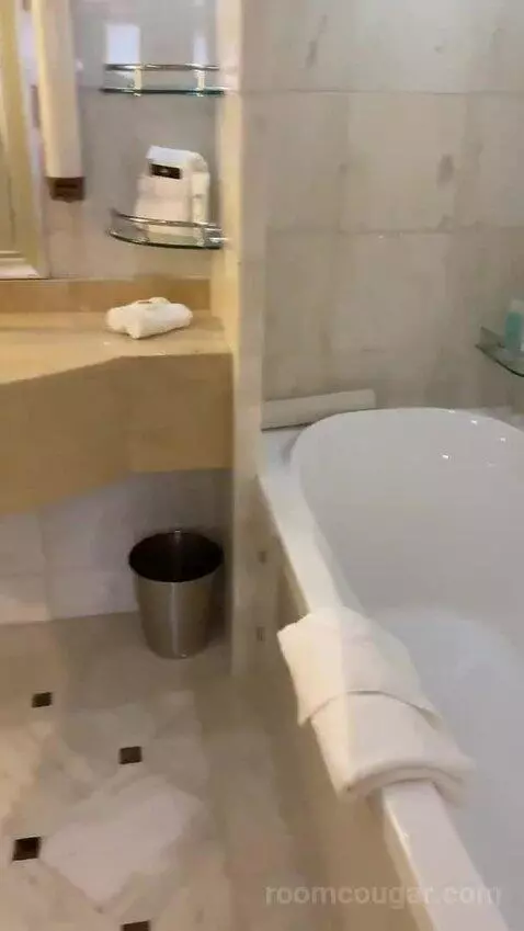 Suite (R611) bathroom picture #3