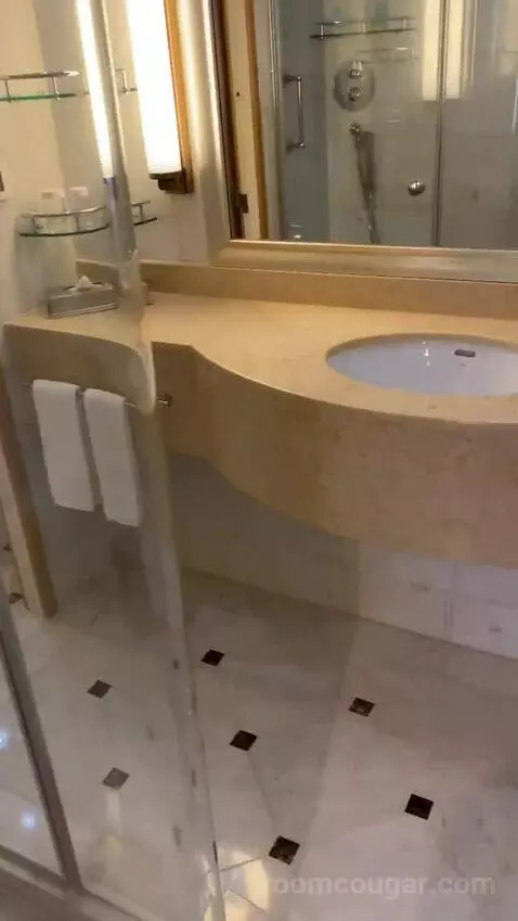 Suite (R611) bathroom picture #6