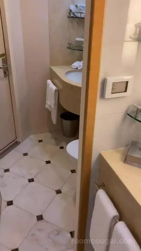 Suite (R611) bathroom picture #8