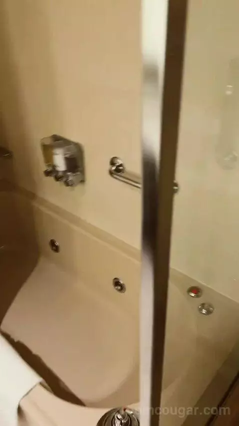 Suite bathroom picture #5