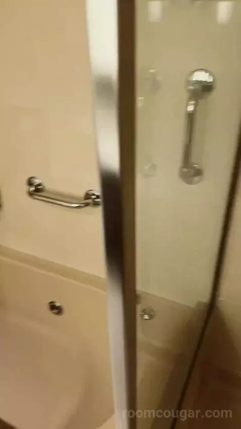 Suite bathroom picture #7
