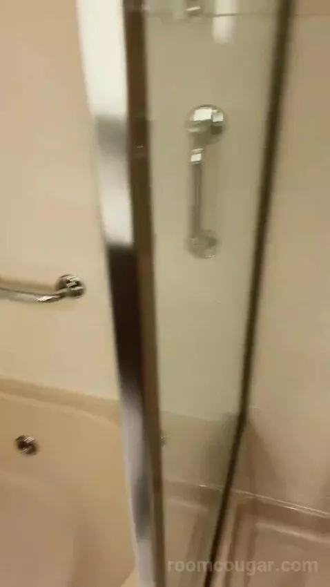 Suite bathroom picture #8