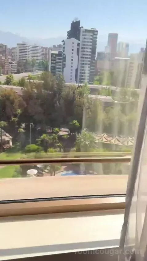 Deluxe Room King view picture #2