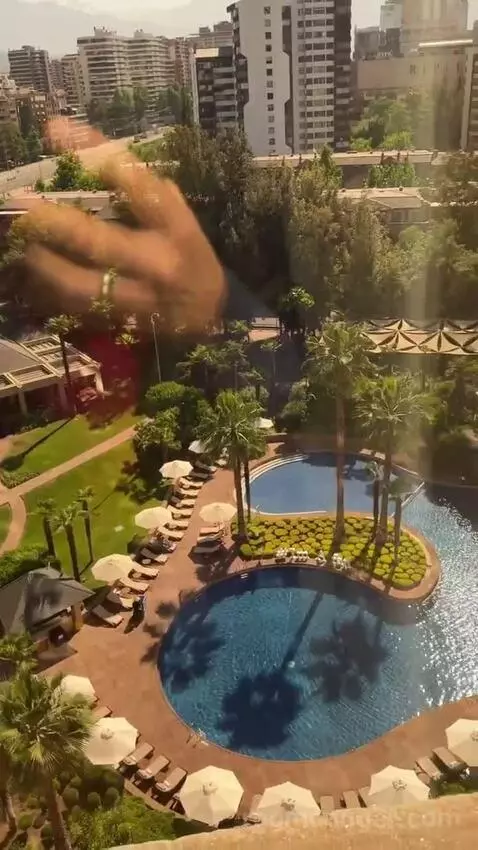 Deluxe Room King view picture #8