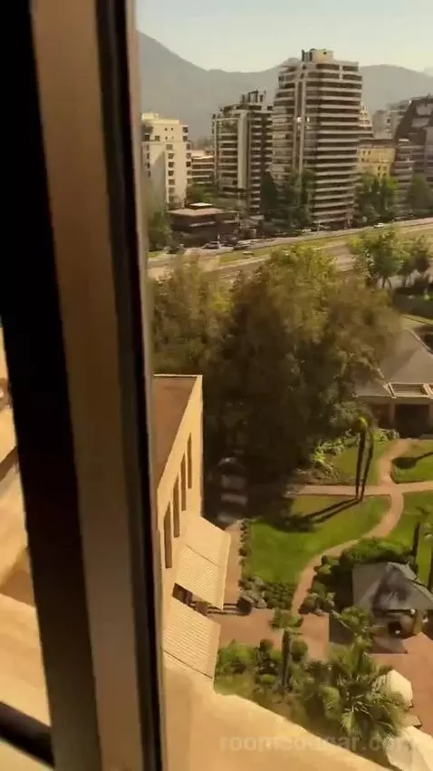 Deluxe Room King view picture #12