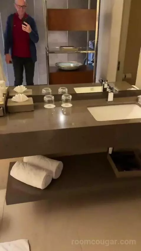 Deluxe Room King bathroom picture #4