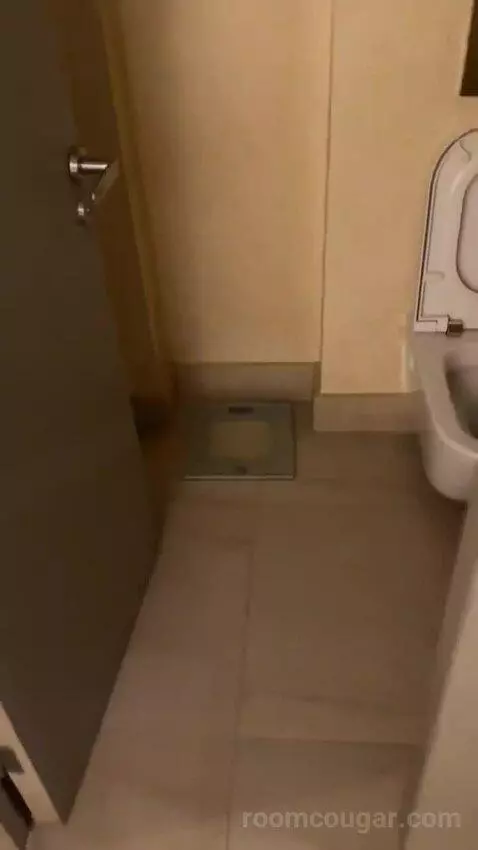 Deluxe Room King bathroom picture #6