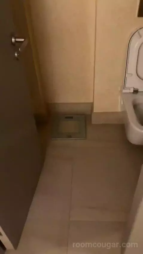 Deluxe Room King bathroom picture #7