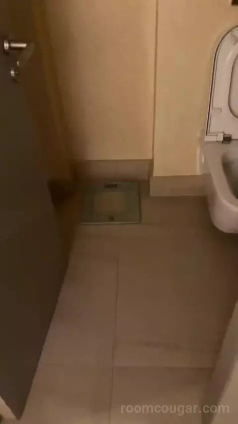 Deluxe Room King bathroom picture #8