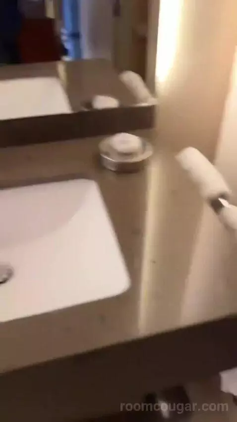 Deluxe Room King bathroom picture #11