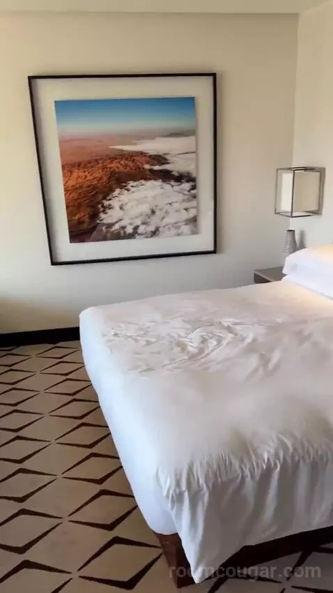 Deluxe Room King bed picture #1