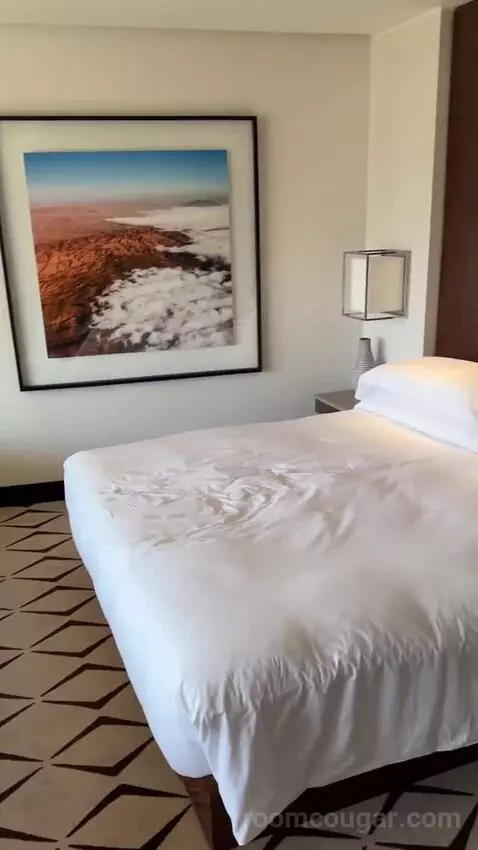 Deluxe Room King bed picture #3