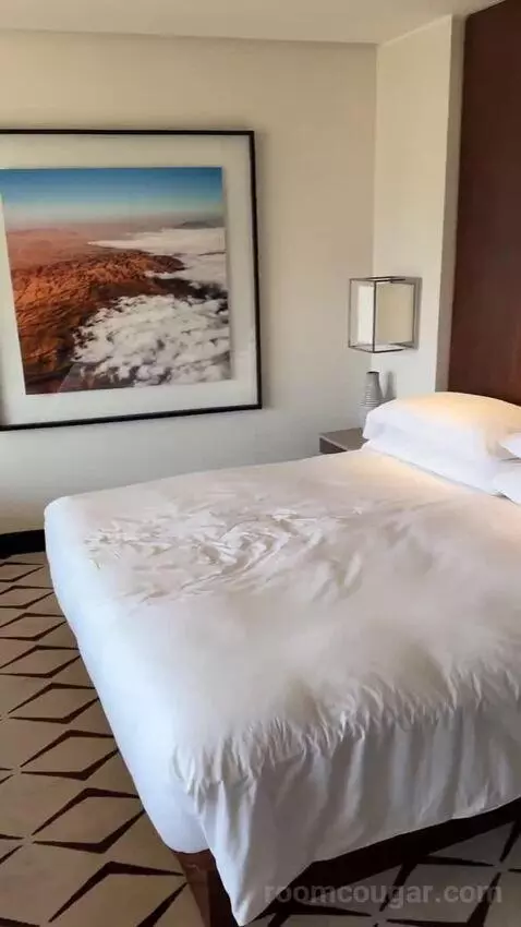 Deluxe Room King bed picture #4