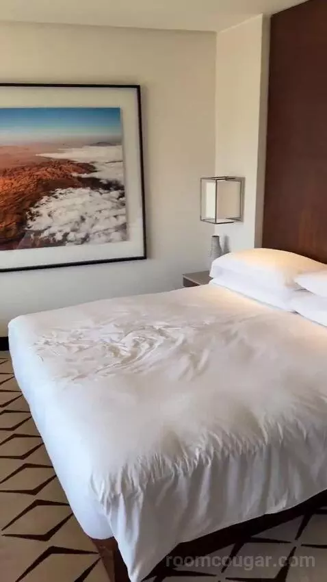 Deluxe Room King bed picture #5