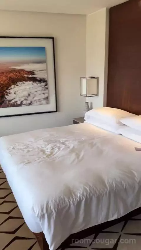 Deluxe Room King bed picture #6