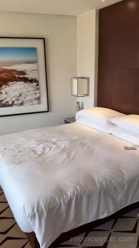 Deluxe Room King bed picture #7