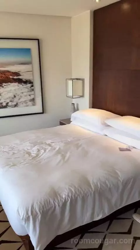 Deluxe Room King bed picture #8