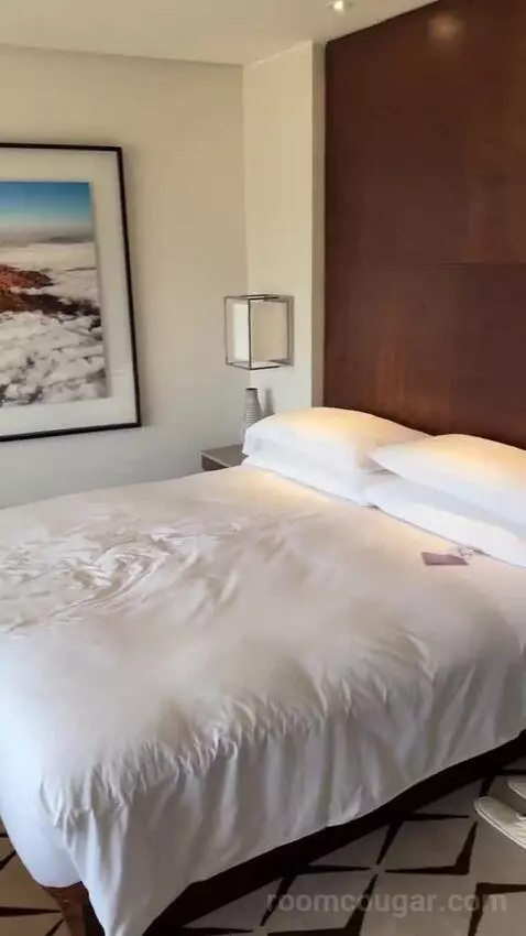 Deluxe Room King bed picture #9