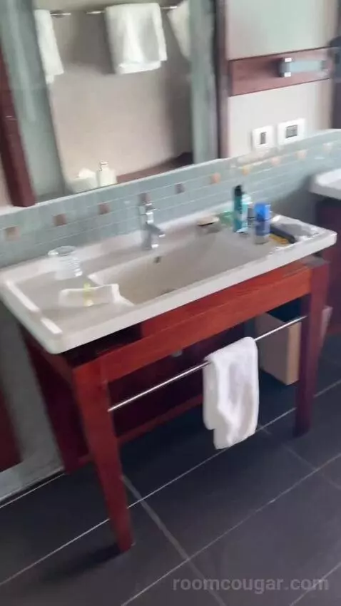 Suite bathroom picture #2