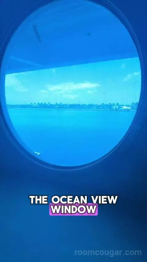 Oceanview (#5136) view picture #8