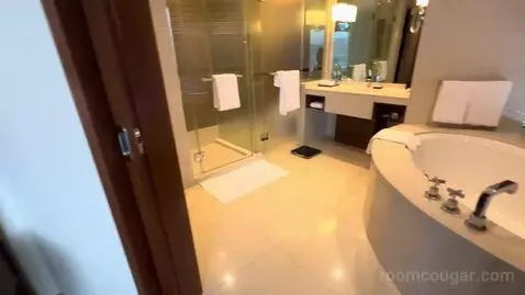 Suite (Room 1507) bathroom picture #2