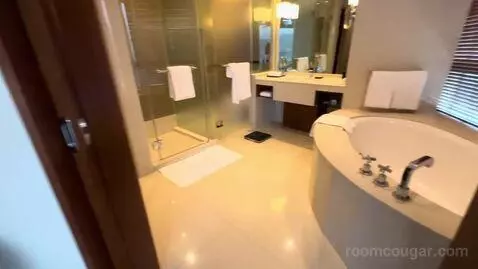 Suite (Room 1507) bathroom picture #3