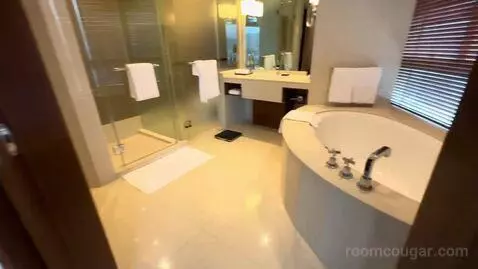 Suite (Room 1507) bathroom picture #4