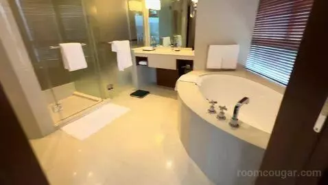 Suite (Room 1507) bathroom picture #5