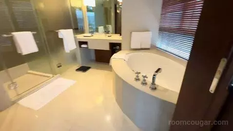 Suite (Room 1507) bathroom picture #6