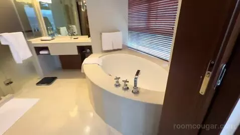 Suite (Room 1507) bathroom picture #9