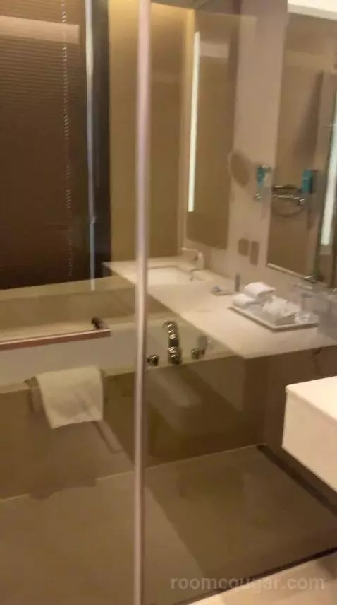 Breezy Suite, Junior Suite, 1 King (#1207) bathroom picture #1