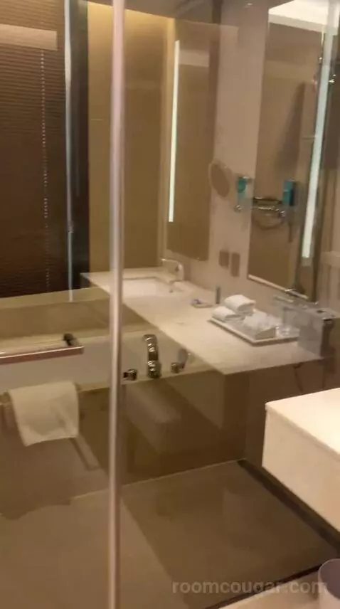 Breezy Suite, Junior Suite, 1 King (#1207) bathroom picture #2