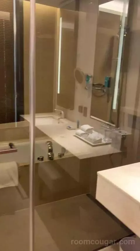 Breezy Suite, Junior Suite, 1 King (#1207) bathroom picture #3