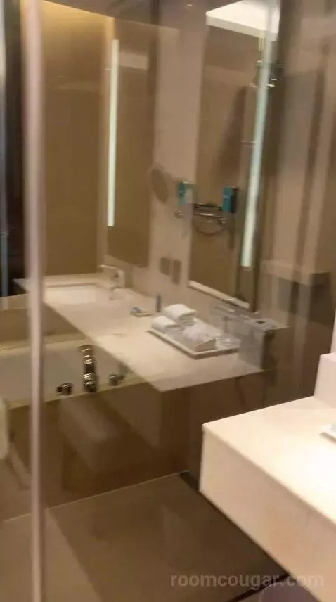 Breezy Suite, Junior Suite, 1 King (#1207) bathroom picture #4