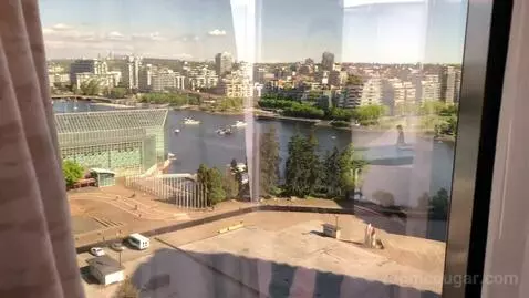 Executive Lounge Access 1 Bedroom Suite, 1 King (#1201) view picture #8