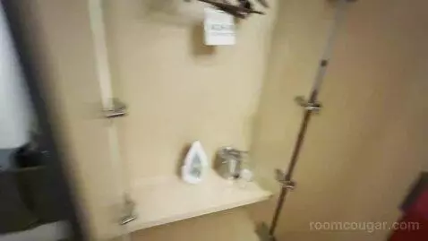 Park Mgm King bathroom picture #6