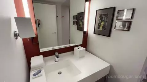 Park Mgm King bathroom picture #7