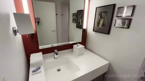 Park Mgm King bathroom picture #8