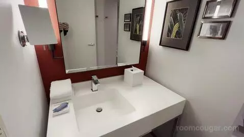 Park Mgm King bathroom picture #10