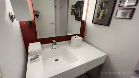 Park Mgm King bathroom picture #11