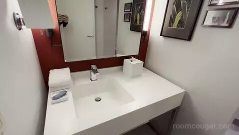 Park Mgm King bathroom picture #12