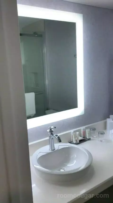 Deluxe King Room (#2107) bathroom picture #1