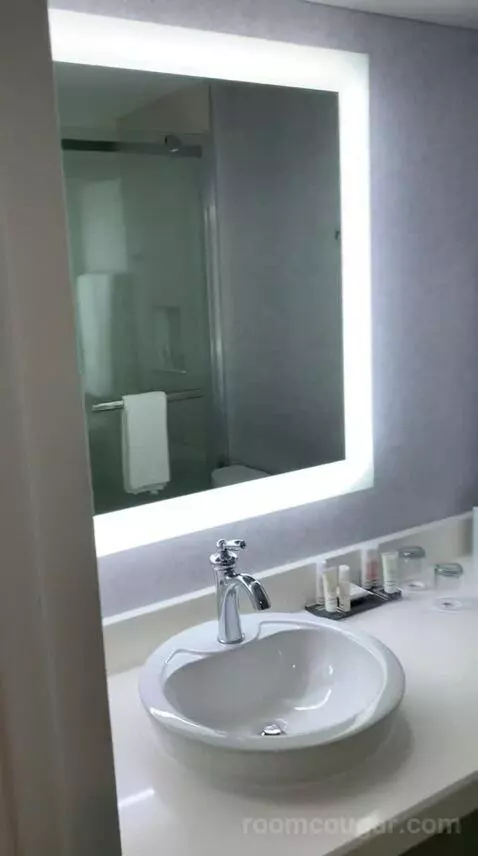 Deluxe King Room (#2107) bathroom picture #2