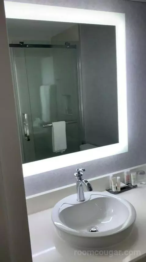 Deluxe King Room (#2107) bathroom picture #4